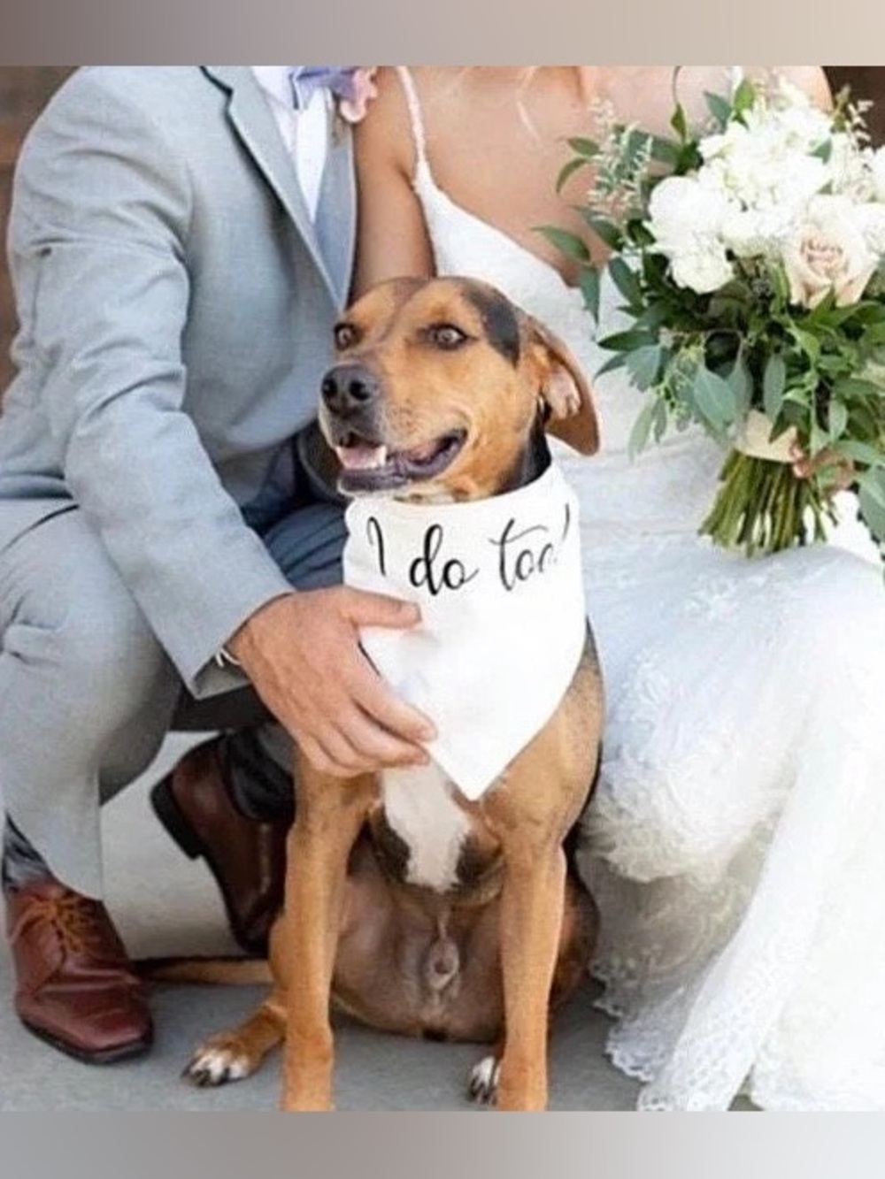 I DO Too Dog Wedding Bandana